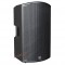 SONAR115XI State-of-the-Art Loudspeaker - Full-Range Speaker or Stage Monitor