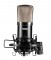 APEX435B - Stubby Large Diaphragm Studio Cardioid Condenser with Shock Mount Clip and Case