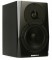 LYD-5 - Nearfield Monitor - 5 woofer and soft dome tweeter, 50W LF and 50W HF Class D Amp with Bass Extension