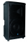 NX25P-2 - 300 watts - powered - 1/12 inch woofer & 80°x50° horn with 1 inch driver - 250/50 watts bi-amp built in mixer with microphone and line inputs and more