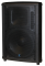NX750P-2 - 750 watts - powered - 15 inch woofer & 80°x50° horn with 1 inch driver - 650/100 watts bi-amp built in mixer with microphone and line inputs, mixer bypass, link jacks and more
