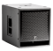 PS12S - ParaSource 12 powered Subwoofer - 900 watts program (1800 watts peak), plywood/paint