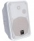 C130 - Plastic speaker enclosure, Trapezoid, 100 watt, 6.5 spkr with tweeter, wall mount U-bracket with knobs, 1x banana and 2x1/4 inch inputs